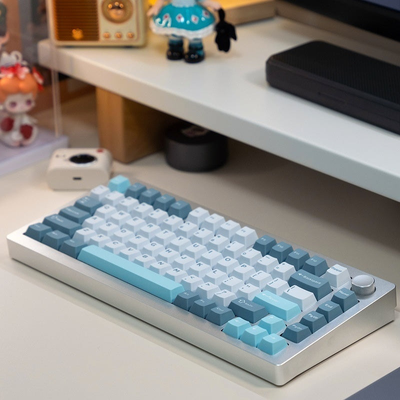 Heiji Snake Aluminum Mechanical Keyboard with Wired and Bluetooth Modes